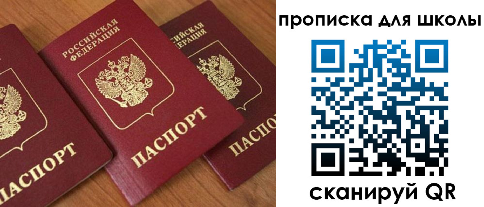 регистрация для дет. сада в Пугачёве